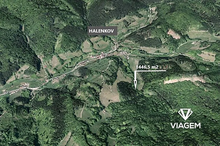Prodej podílu 1/8 lesa 363 m²